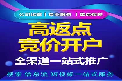 百度竞价公司案例研究：提高广告转化率的关键